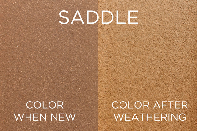 saddle color