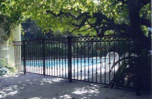 Napolean Iron Fence with Knuckles