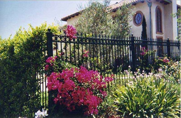 Napolean Iron Fence with Top Castings