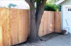 Butted Dog Ear Wood Fence